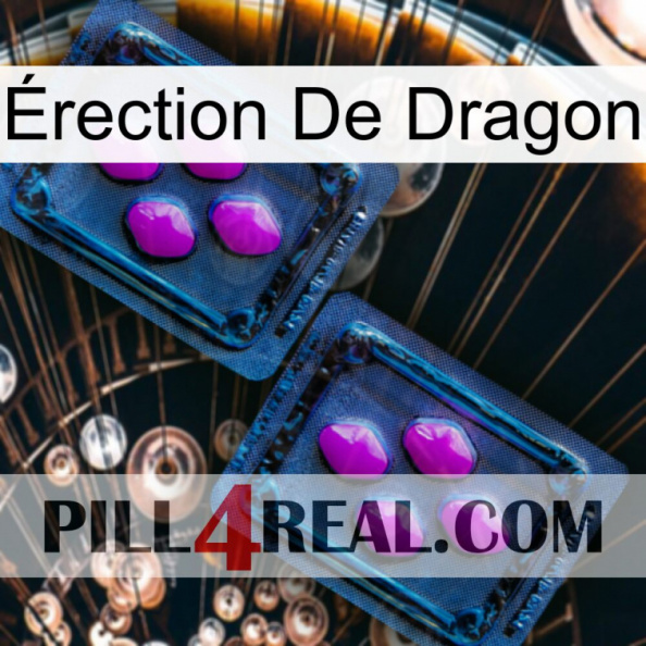 Érection De Dragon 03.jpg